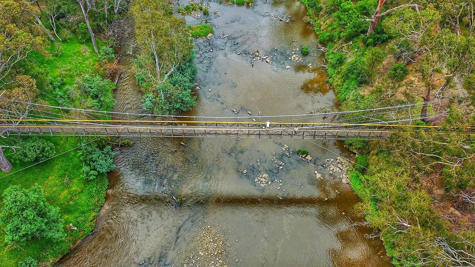 Topdown perspective of Ruffey Trail suspension bridge